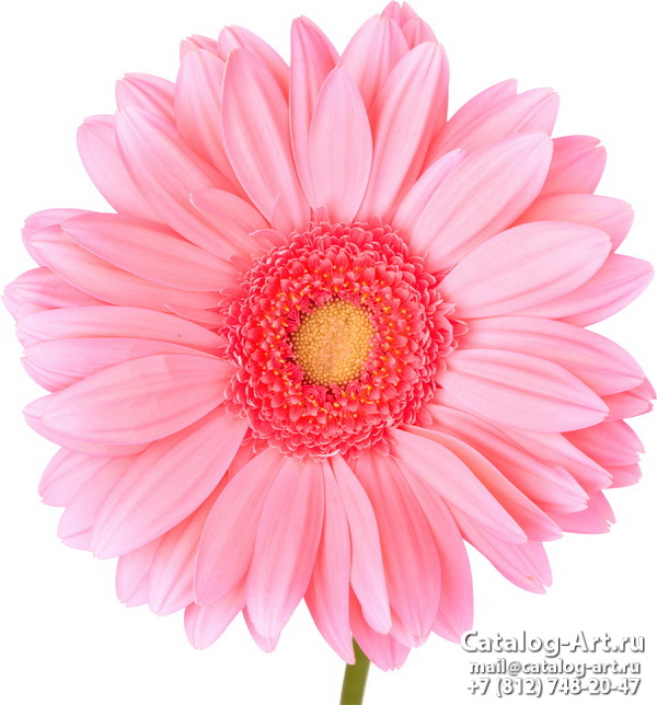 Натяжные потолки с фотопечатью - Розовые цветы 29